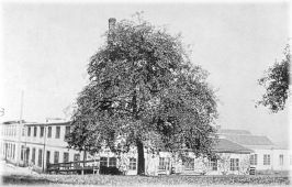 1939/1940 beginn Polstermaterialfabrikation