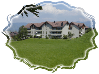 Immobilienverwaltung: RUOSS-KISTLER AG; �berbauung Buttikon